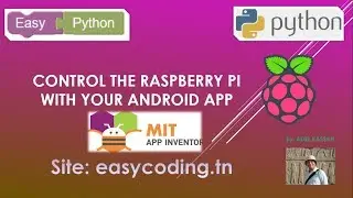 Easy Raspberry tutorial 04: Control the Rpi with your Android APP