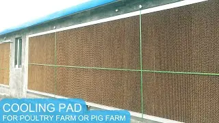 Evaporative cooling pad for poultry farm or pig farm
