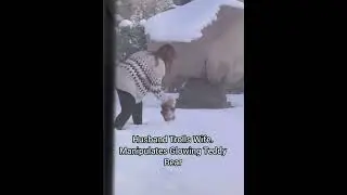Husband Trolls Wife. Manipulates Glowing Teddy Bear #shorts