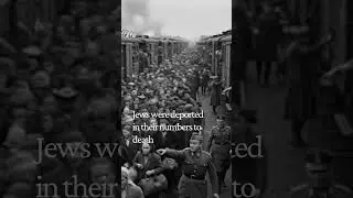 Inside the Gates of Auschwitz #Shorts #history