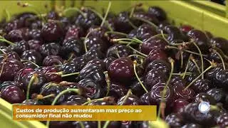 Cereja do Fund&atilde;o