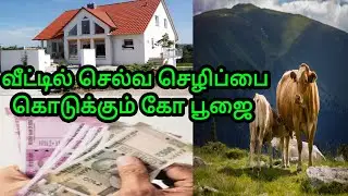 cow poojai|cow pooja|saving money|saving money tips| saving money hacks|saving money box|money
