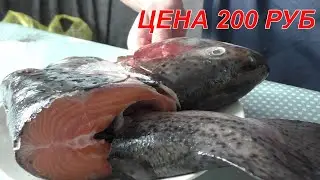 ГОТОВЛЮ ГОЛОВЫ КРАСНОЙ РЫБЫ! ДЁШЕВО И СЕРДИТО! Где и когда лучше купить? УЖИН ЗА 200 РУБЛЕЙ!