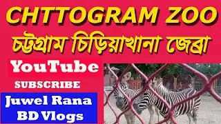 চট্টগ্রাম চিড়িয়াখানা জেব্রা Chattaram chiriyakana jebbra