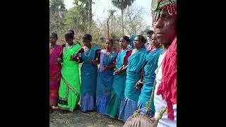 2025 Ka Aadiwasi Dhamal #shorts #santalidance #melavlogs #culturaldance #sikandarmurmuvlogs