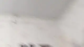 Проверка