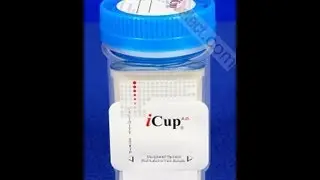 iCup Drug Screen Video Instructions (Procedure)