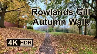Rowlands Gill:  4K Autumn Tour: No talking just walking  #autumn #autumnleaves #walk #walkingtour