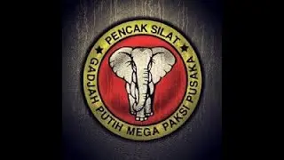 Stage Fevrier 2025 KEHEBATAN SILAT