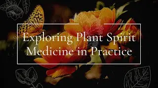 Exploring Plant Spirit Medicine in Practice