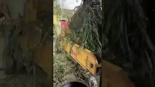Diesel Powered Wood Shredder for Heavy Duty Logging Sites #GreenWasteManagement
