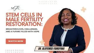 Stem Cells in Male Fertility Restoration  Breakthroughs, Challenges, and a Future Filled with Hope