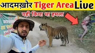 Territory Of Man Eater Tiger | आदमखोर बाघ का इलाका | Tiger Attack Eyewitness | Mohan Man Eater