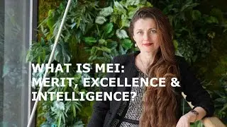 What is MEI: Merit, Excellence & Intelligence ?