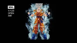 Goku Super Saiyan White