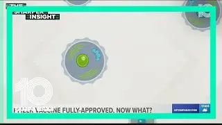 Pfizer vaccine gets full FDA approval. Now what?