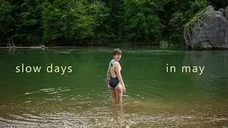 life lately | a decision, creative projects, reading & time in nature