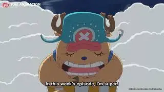 Straw Hat Body Swap  One Piece