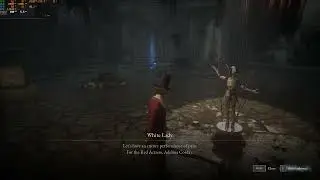 White Lady Boss Fight Lies of P  Technique Build - Legendary Stalker