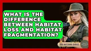 What Is The Difference Between Habitat Loss And Habitat Fragmentation? - Bird Watching Diaries