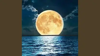 The Ocean Knows