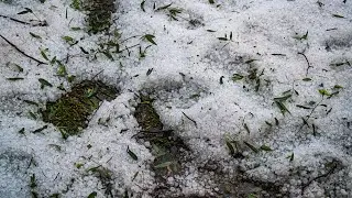 Insane Hail Storm Coffs Harbour 20-Oct-2021