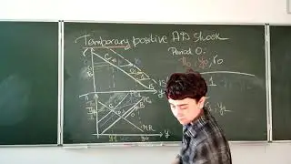 (5) Модель из 3 уравнений: Положительный временный шок AD