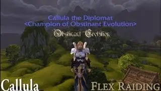 Flex Raid