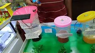 Sea water to drinking water with solar energy @projectpoint1
