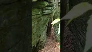 IS $40,000 IN CONFEDERATE GOLD HIDDEN HERE?
