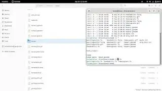 Linux Fundamentals: ls command & wildcards (*, ?, [], {})