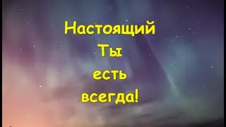Люди и Высшие. Игрок и Персонаж. Демиурги. Амнезия. /