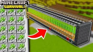 FARM de CANA SUPER F&Aacute;CIL e AUTOM&Aacute;TICA no Minecraft Survival!