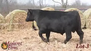 Lot 3, Maplecrest Sure Fire J8087