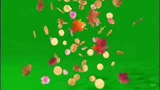 Falling Objects Green Screen | Coins, Petals & Leaves | Free 1080p Chroma Key Video
