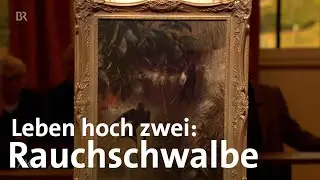 Leben hoch zwei: Rauchschwalbe | Kunst + Krempel | BR