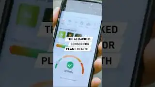 The AI-backed bio-sensor for plant health
