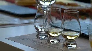Agave Adventures: A Grand Tasting Experience with Cazcanes Tequilas