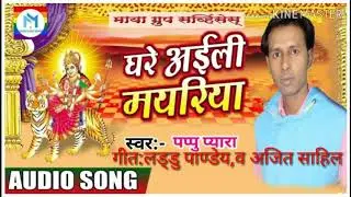 Pappu pyara ka  devi geet