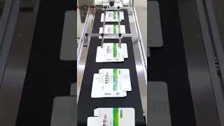 automatic paging machine for paper box|YQ cartons page separating system for labeler #automatic