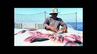 How to  cut fish like a pro#fishing #howtocutfish #tunacuttingskill 