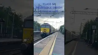 #shorts #class57 #tones #horns #wow #kind #nice #rare #1z74 #fast