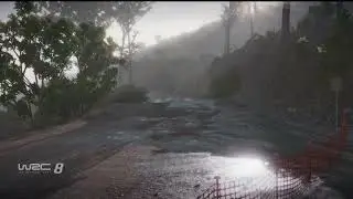 WRC 8 Gameplay|71| #wrc8
