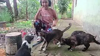 anak kecil berteman dengan kucing