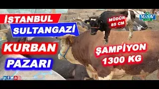 İstanbul Sultangazi Kurban Pazarı