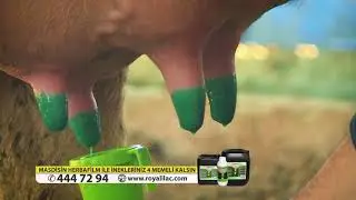 İneklerinizin mastitise yakalanmaması i&ccedil;in - MASDİSİN HERBAFİLM / Royal ila&ccedil;