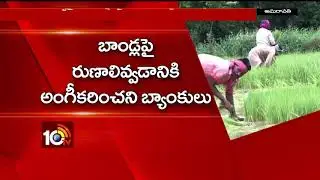 AP Government to Release 3rd Phase Loan Waiver to Farmers | AP | 10TV
