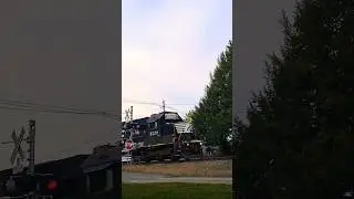 6331 and 9781 NS Locomotives
