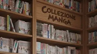 Collezione manga 