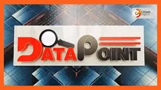 Data Point | Cost of maize